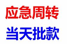 咸寧嘉魚典當(dāng)與抵押信息發(fā)布指南